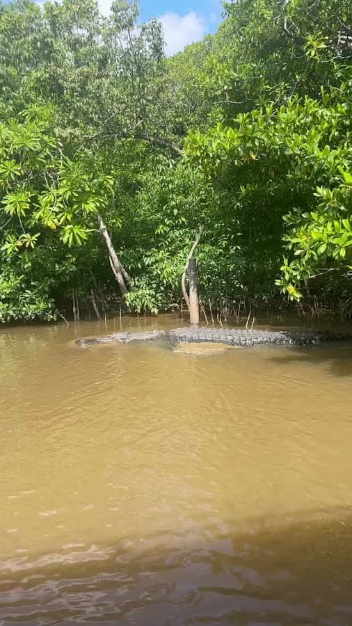 Yakumama Amazon Tours - Iquitos — foto