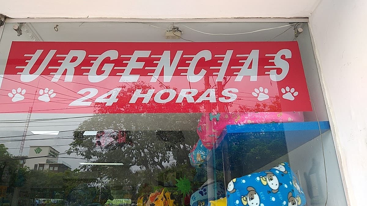 MIS MASCOTAS CLINICA VETERINARIA