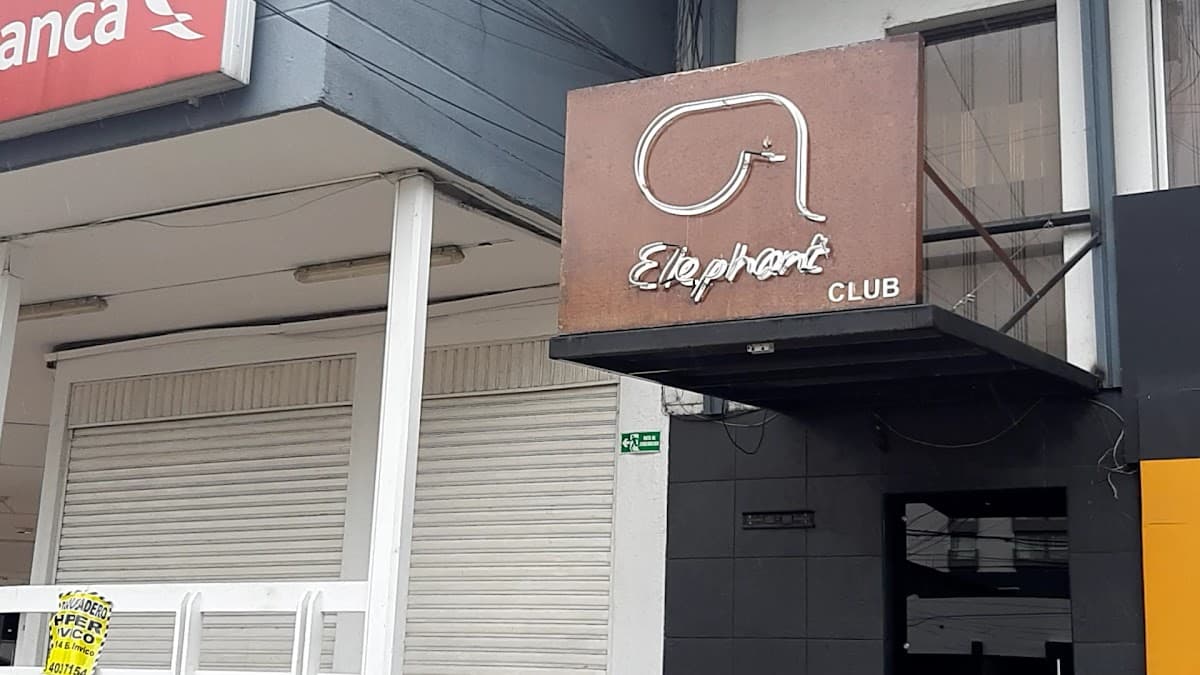 Elephant Club — foto