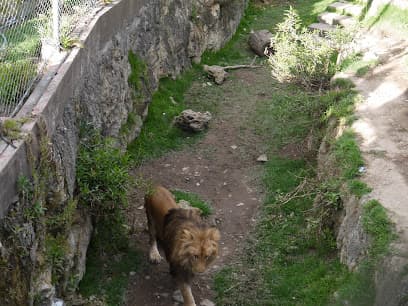 Parque - Zoológico de Huancayo — foto