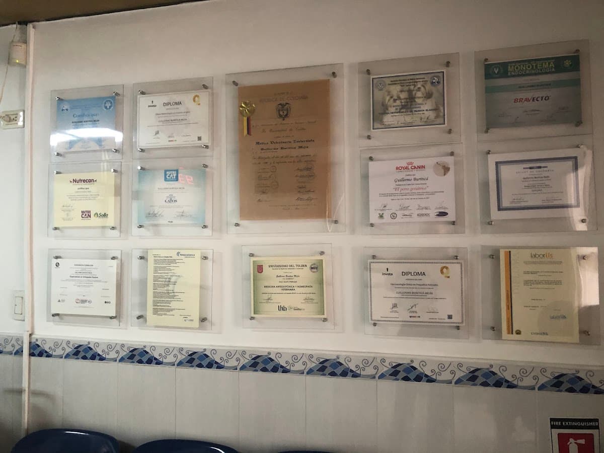 Veterinaria Cali | Centro Médico Veterinario Buritica