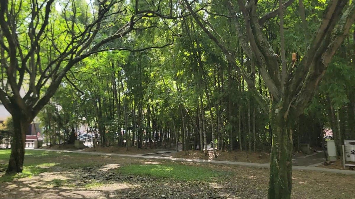 Parque de los Pies Descalzos — foto