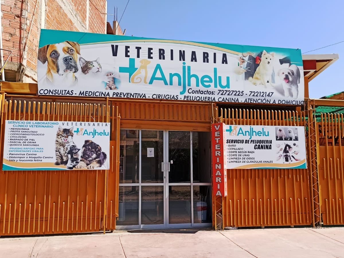 Veterinaria de mascotas Gamaliel — foto