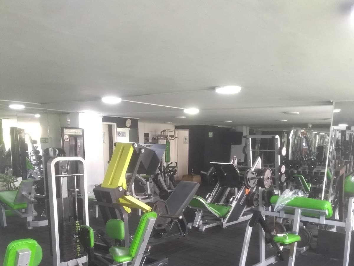 Fitness For Life