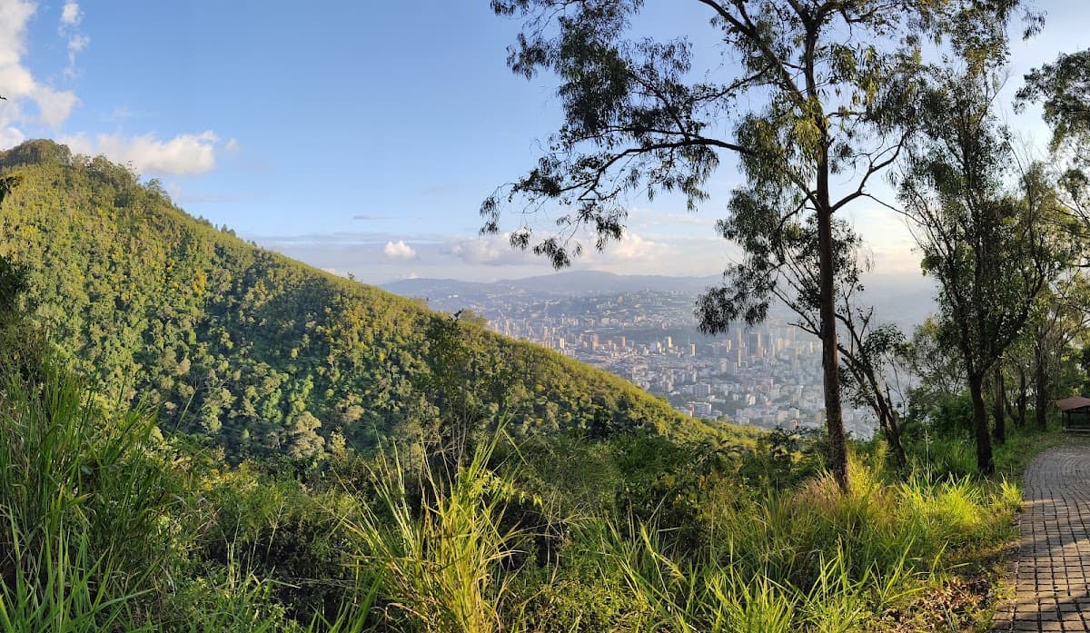 Mirador Anauco