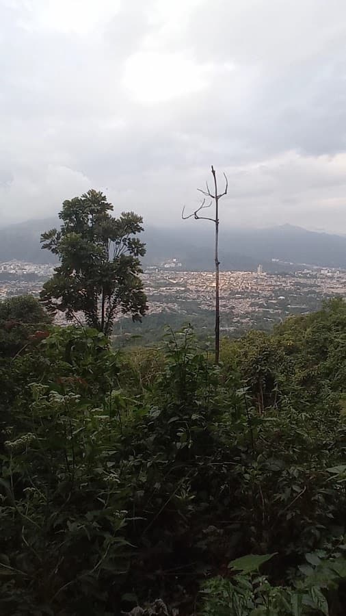 La Martinica Parque Ecológico — foto