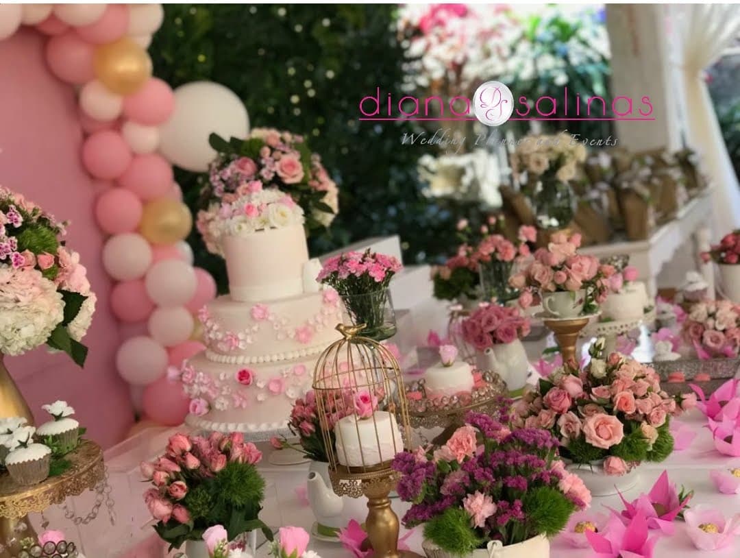 Diana Salinas Bodas y Eventos