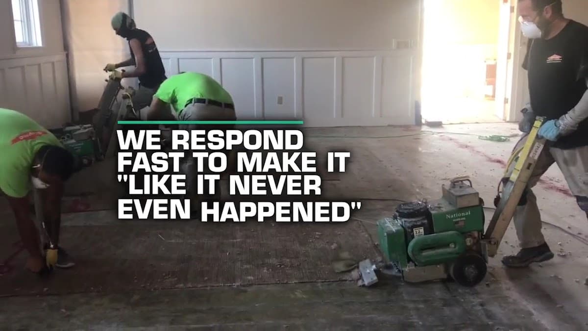 SERVPRO of Ft. Lauderdale South — foto