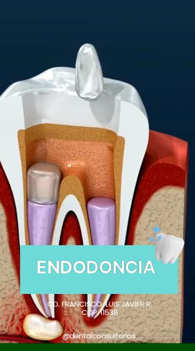 Dental Consultorios — foto