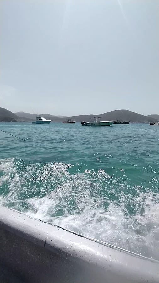 Tu Hobby Travel Agencia de viajes y operadora de turismo — foto