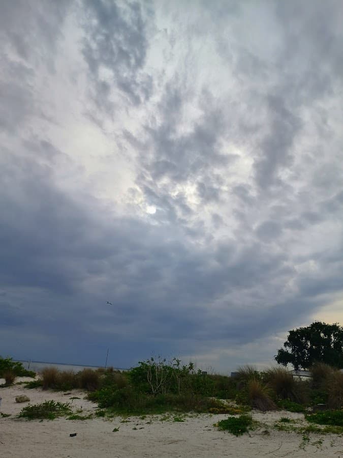 Cypress Point Park — foto