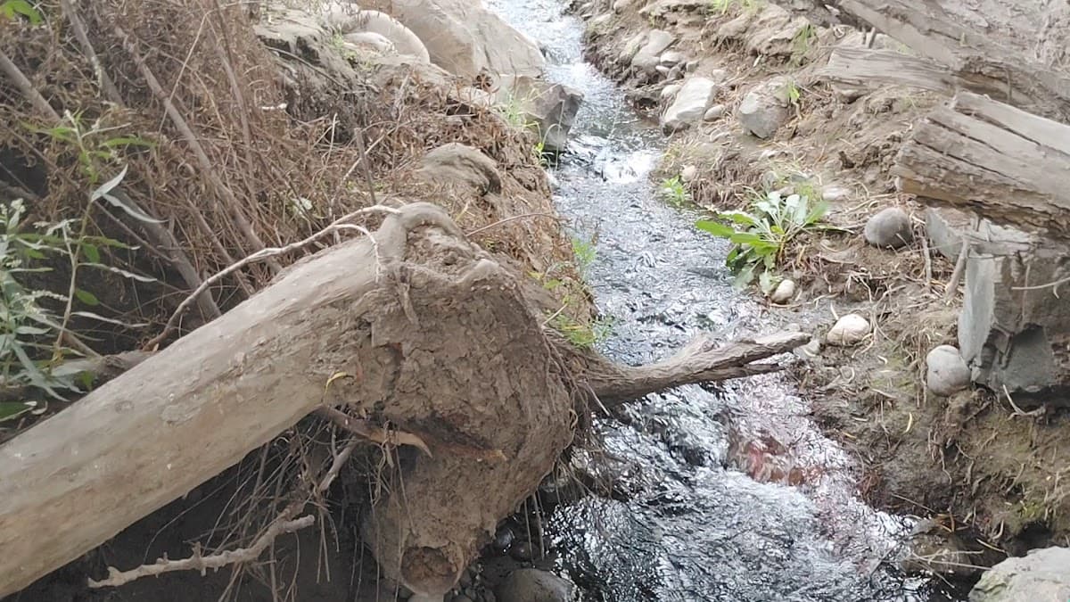 Parque Selva Alegre — foto