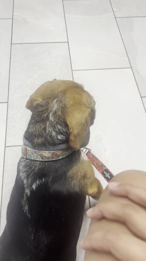 Vet-I-Care Animal Hospital — foto
