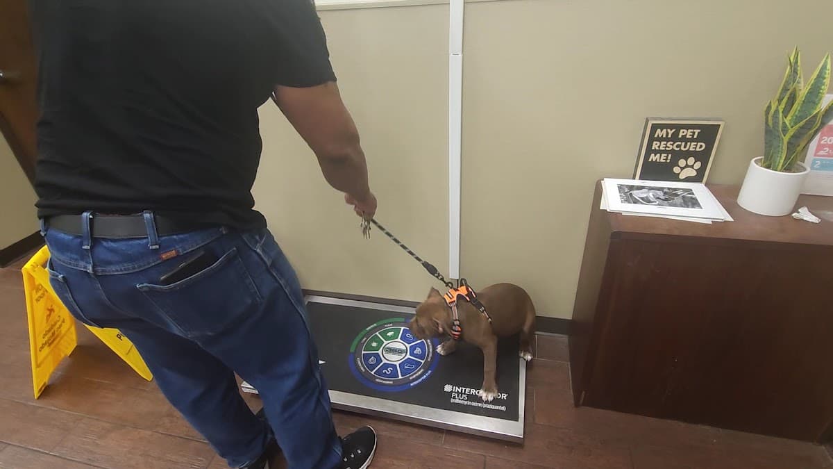 Joseph A. Strasser Regional Veterinary Hospital — foto
