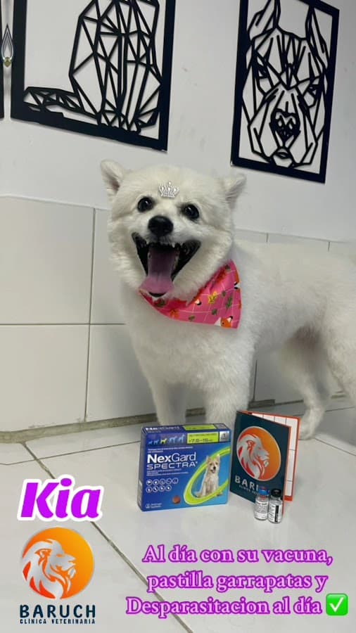 Clínica veterinaria BARUCH — foto