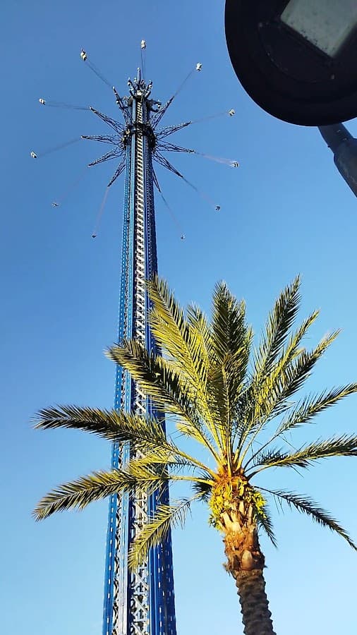 Orlando Starflyer — foto