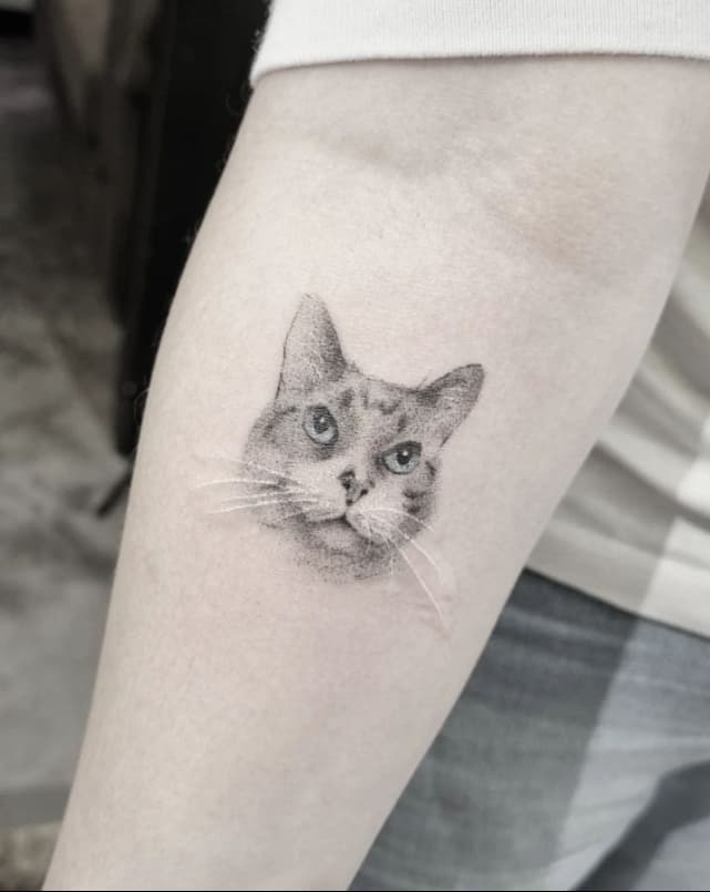 Studio Garden Tattoo — foto