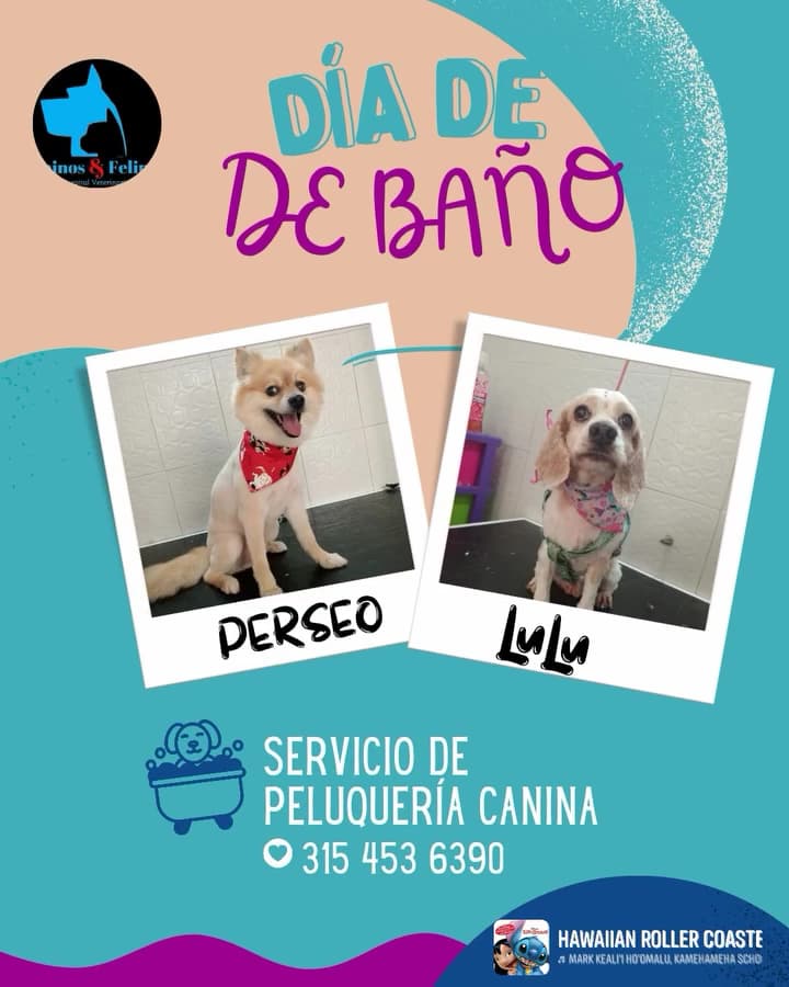 Hospital Veterinario Caninos Y Felinos — foto