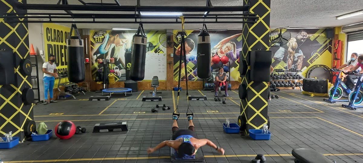 Alextrainer Santa Marta