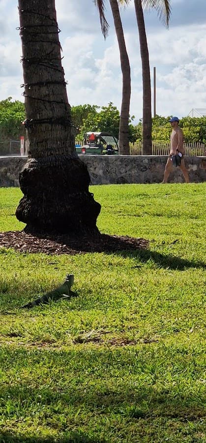 Parque Lummus — foto