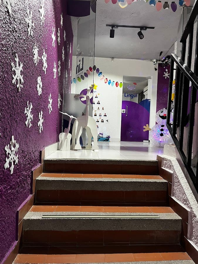 Lingüi Academy Bucaramanga