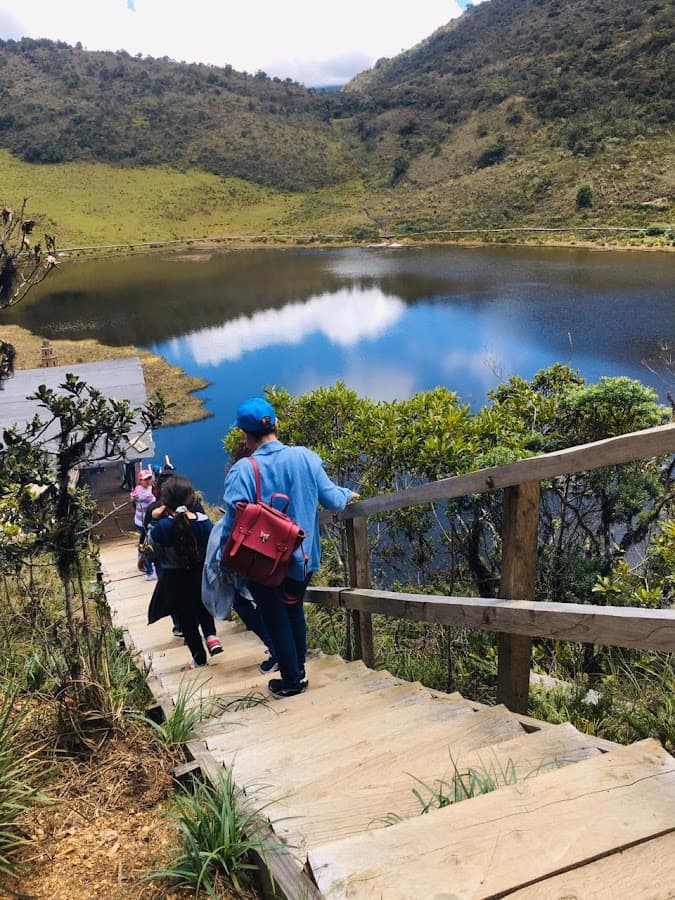AGENCIA OPERADORA DE VIAJES GONZALEZ TOURS