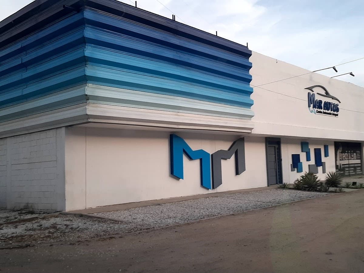 taller automotriz elimar s.a.s