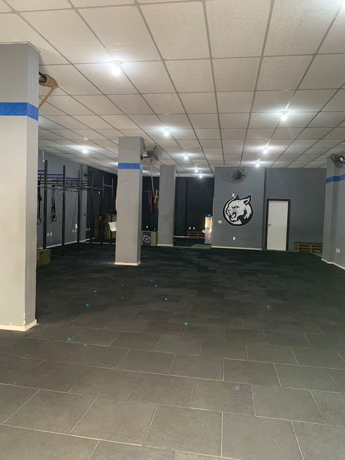 Lynx CT — foto