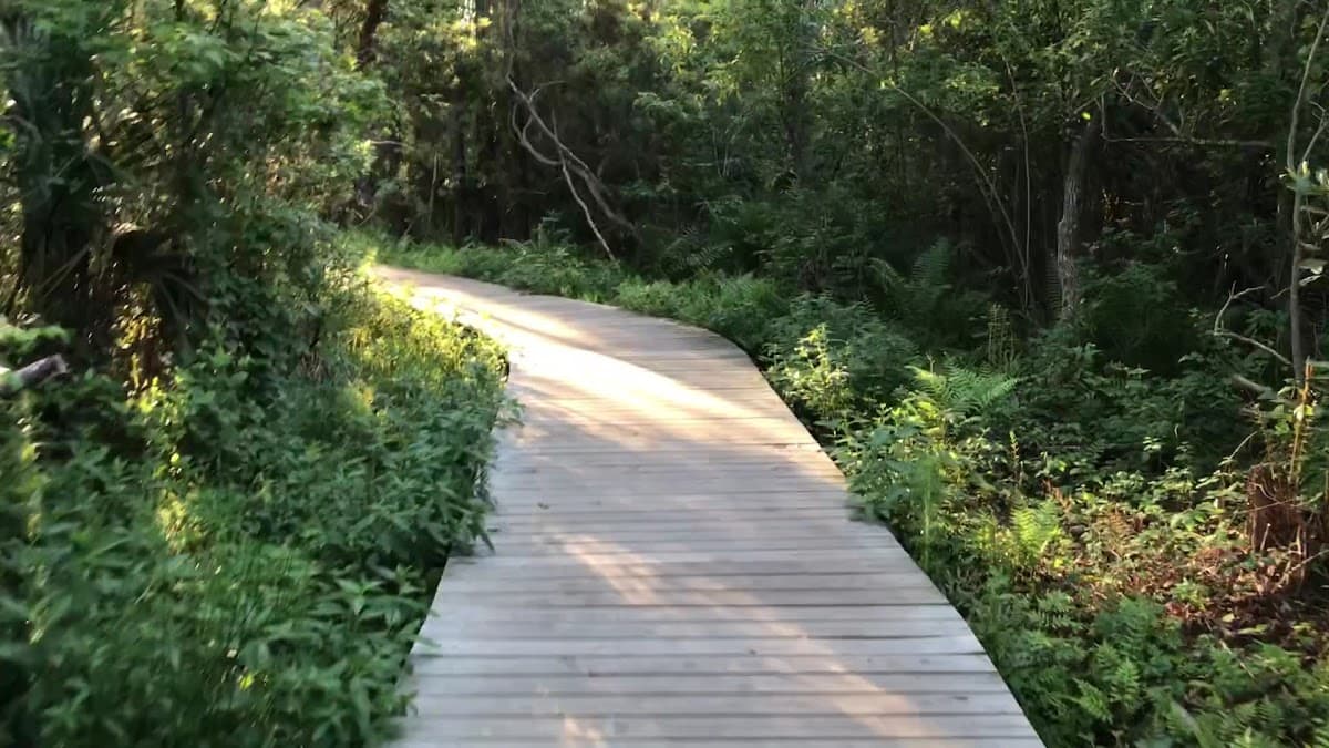 Spanish Pond Trailhead — foto