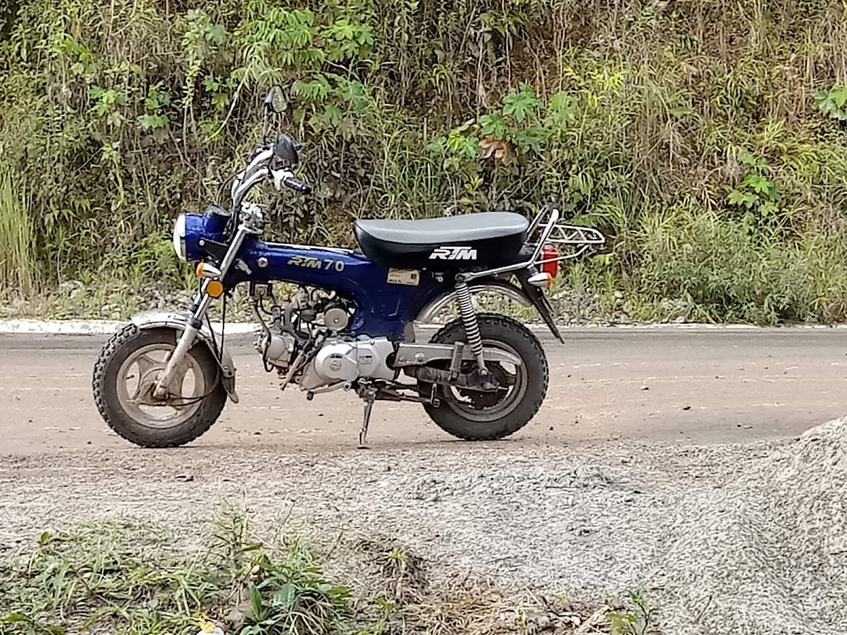 Transtotal Logistica Selva — foto