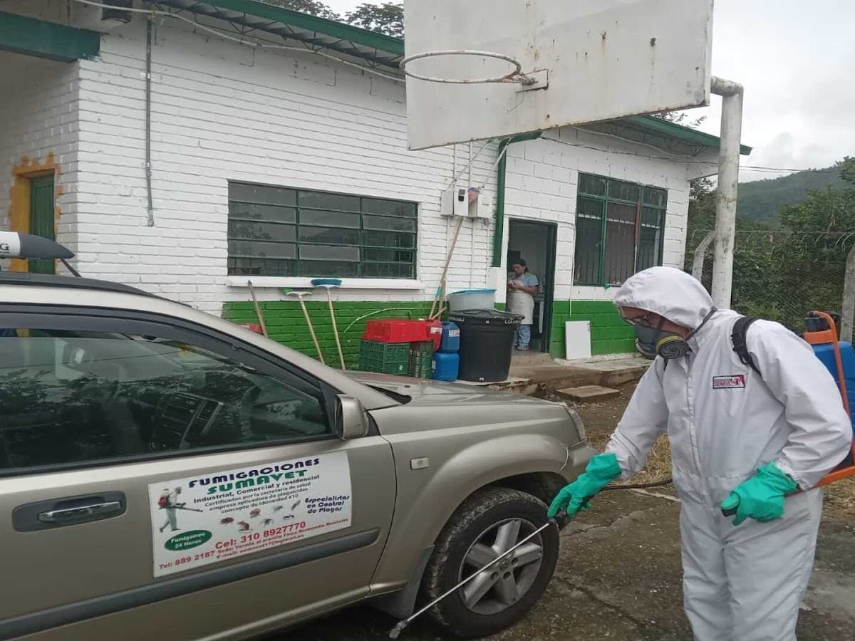 Fumigciones Manizales — foto