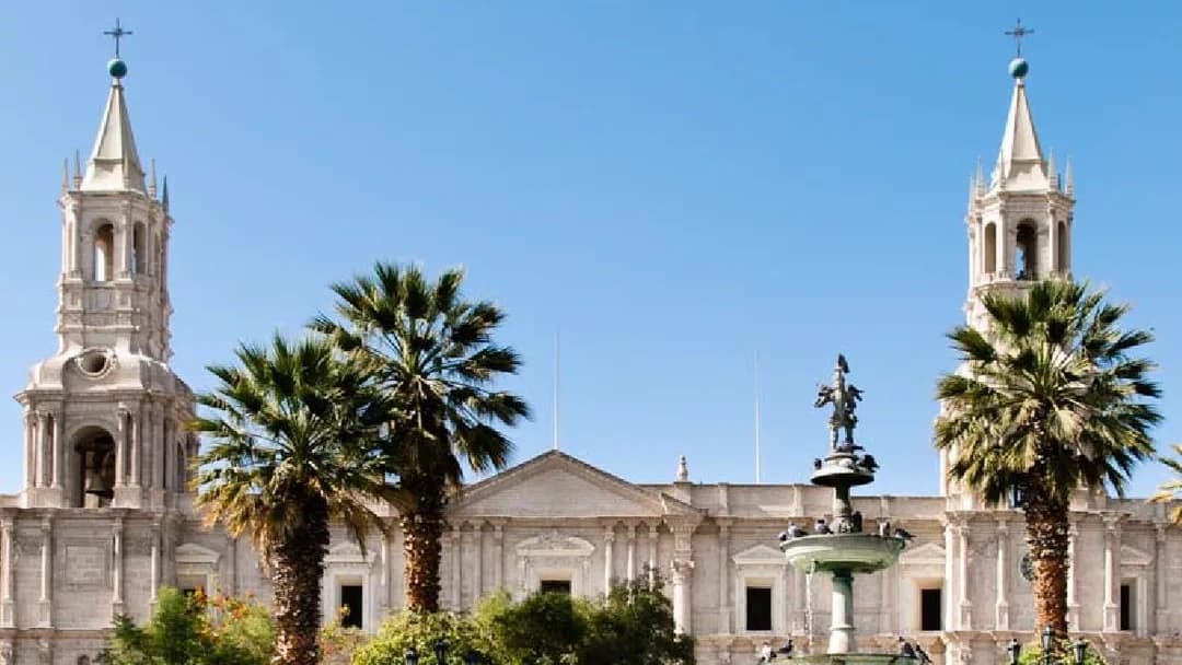 Wasis Inmobiliaria