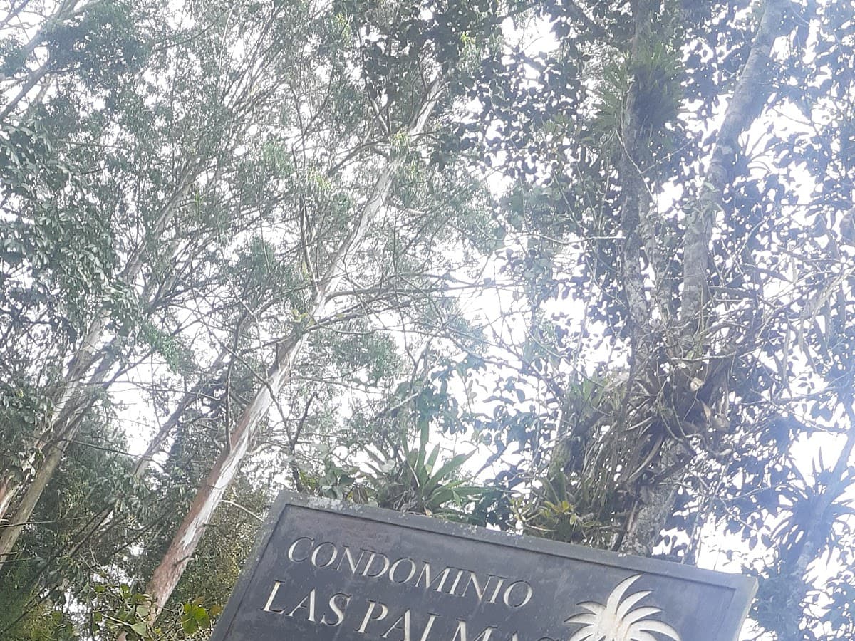 Liceo Francés de Pereira — foto
