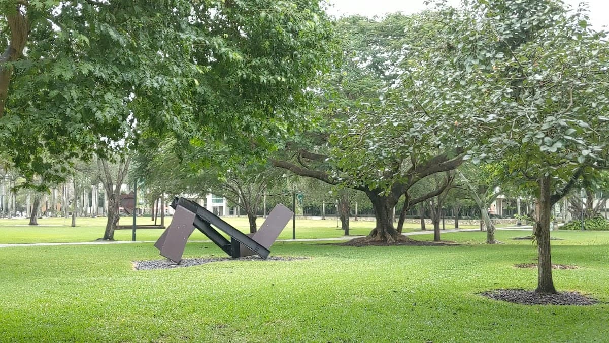 Universidad de Miami — foto