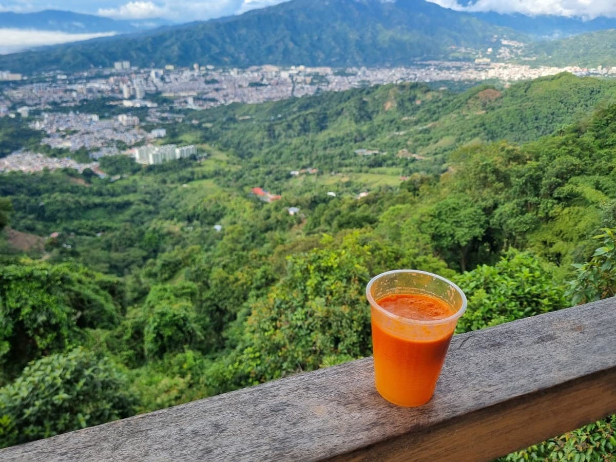 Mirador Fiques