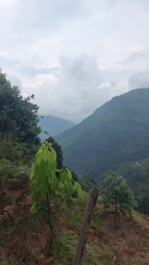 Mirador Fiques — foto