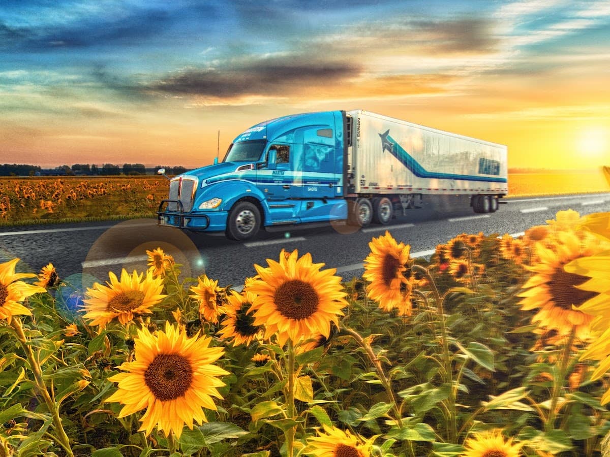 Dynamic Transport Service — foto