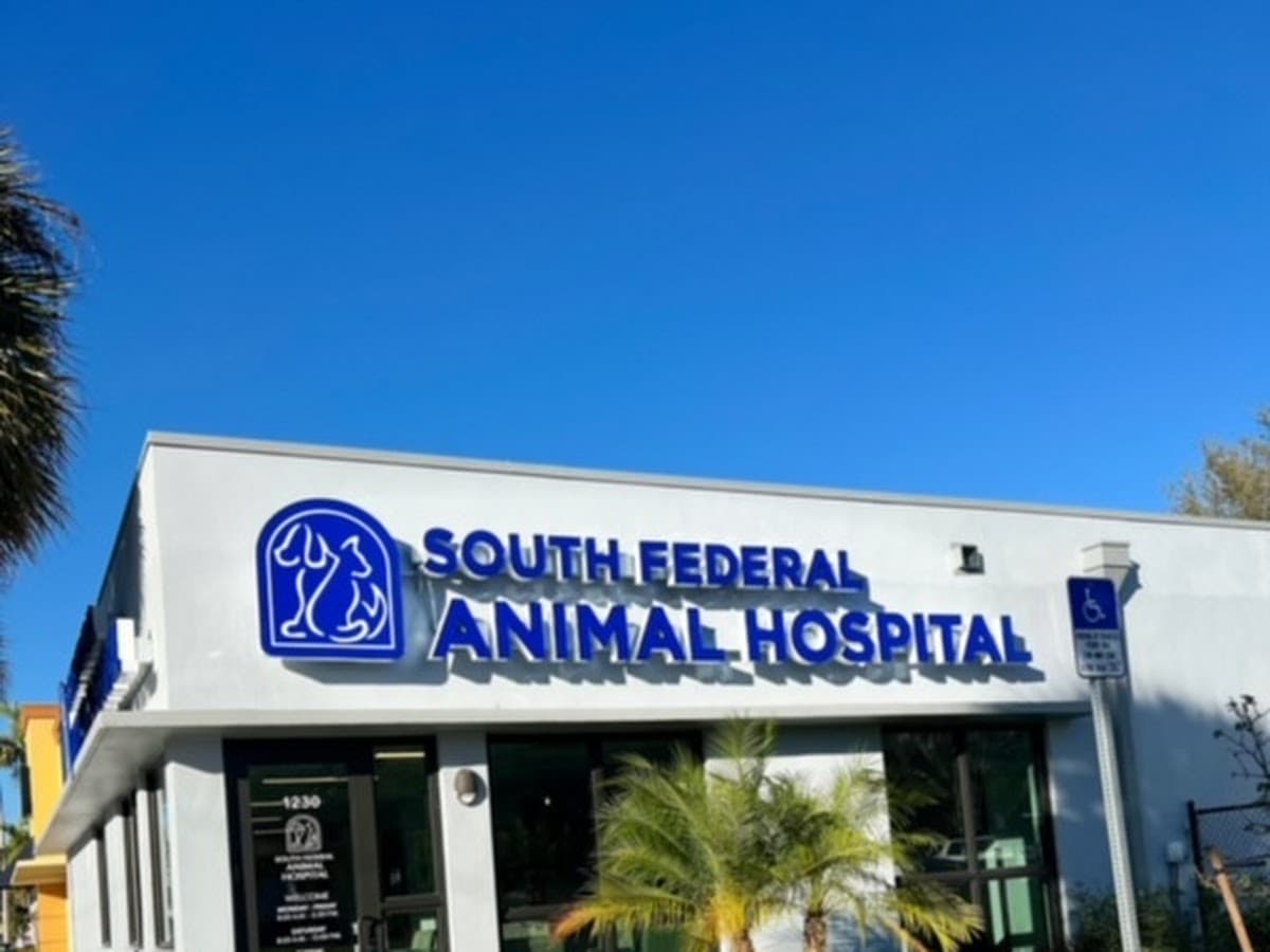 Southport Animal Hospital — foto