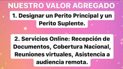 EXPERTICIAS & PERITOS / INSTITUCION BOUTIQUE EN DAÑOS & PERJUICIOS — foto