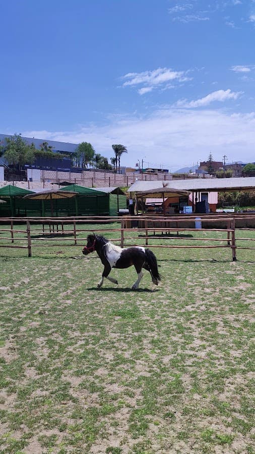 Fundo el Rosal — foto
