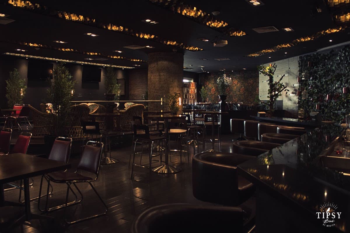 Tipsy Bird Bar Pereira by Movich Hotels