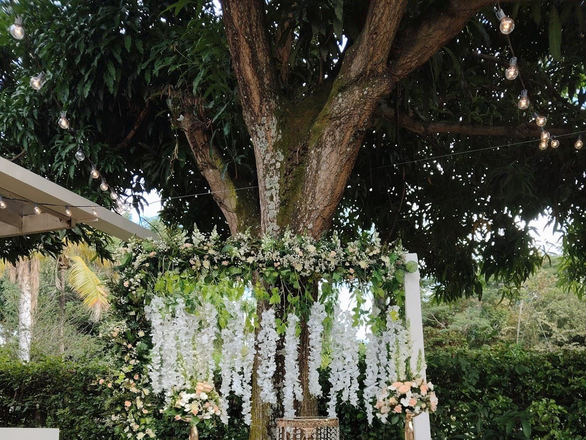 Eventos Elegant Neiva - Huila