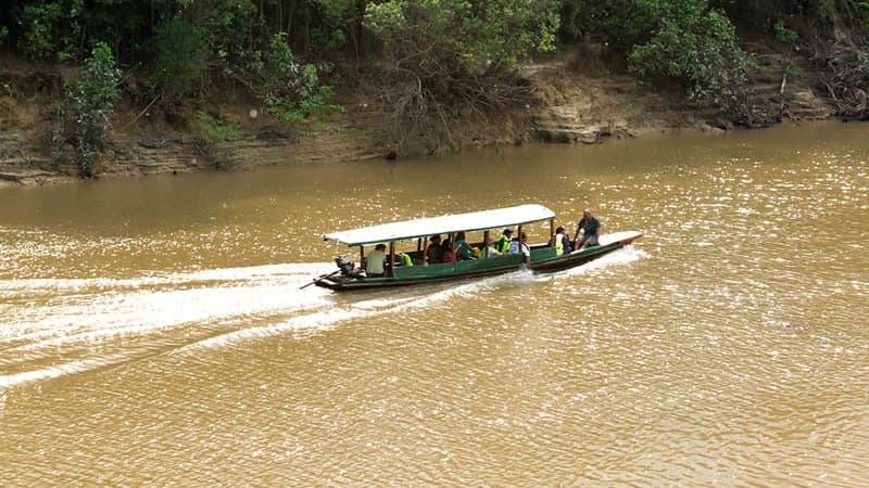 Tour Pacaya Samiria
