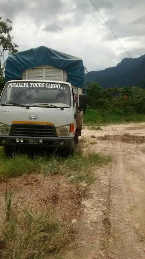 D&M Pucallpa Tours Cargo E.I.R.L.