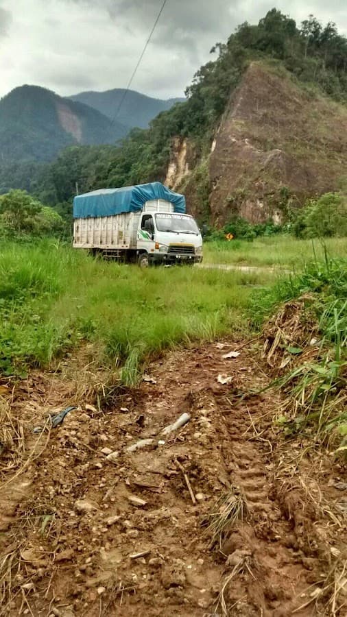 D&M Pucallpa Tours Cargo E.I.R.L. — foto