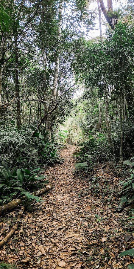 Refúgio de Vida Silvestre de Itapema
