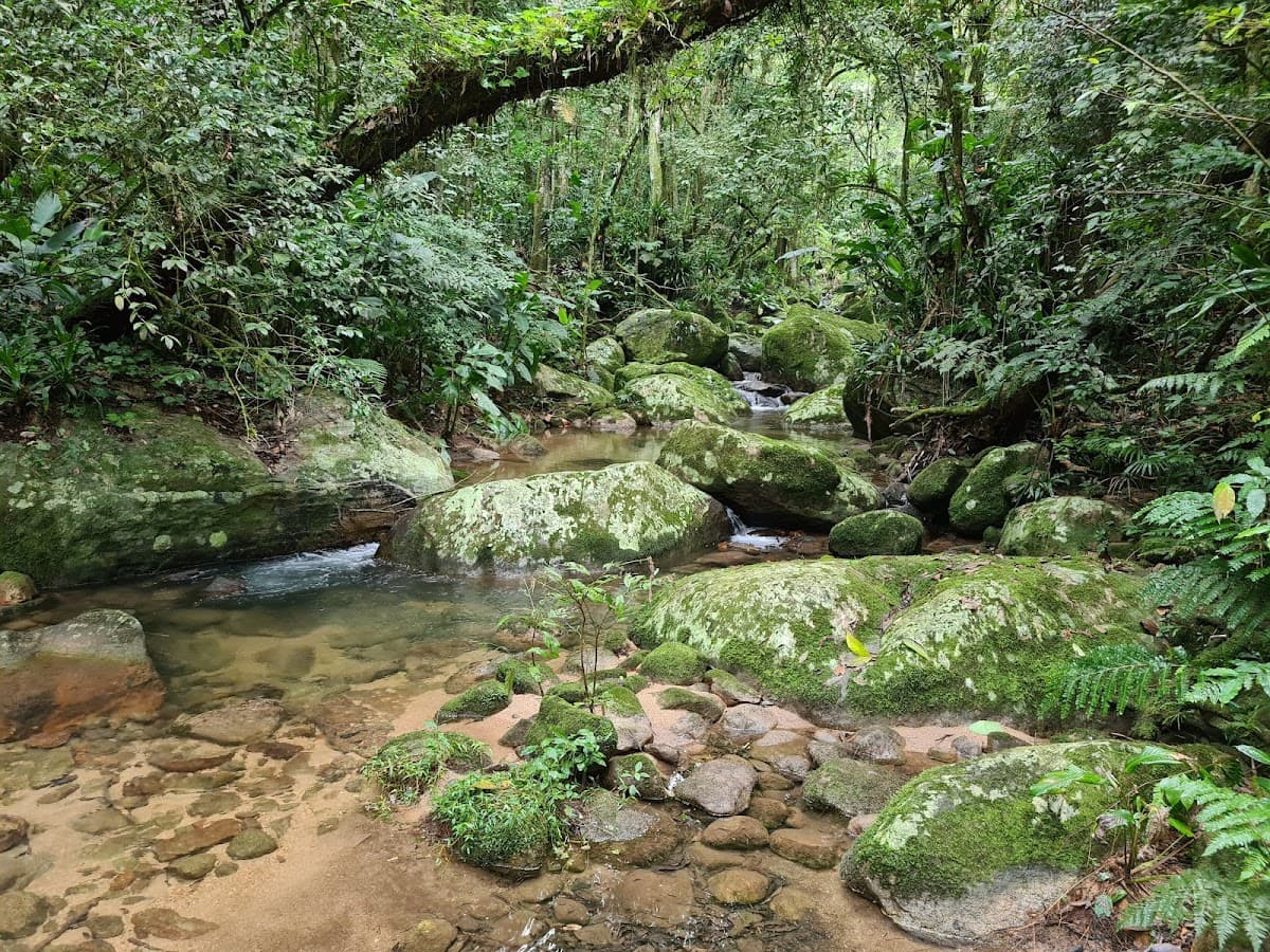 Refúgio de Vida Silvestre de Itapema — foto
