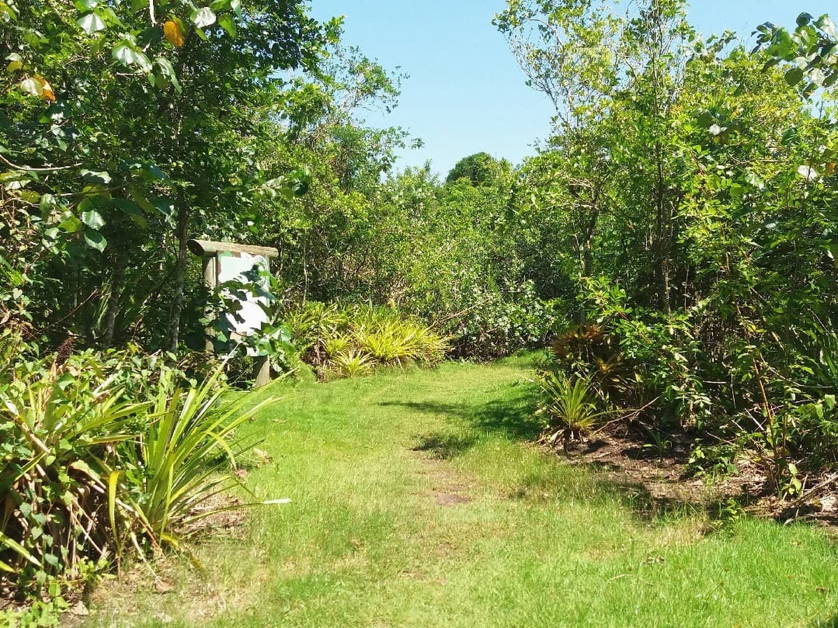 Refúgio de Vida Silvestre de Itapema — foto