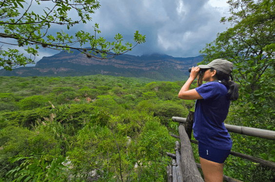 Munay-ki Travel Y Tours — foto