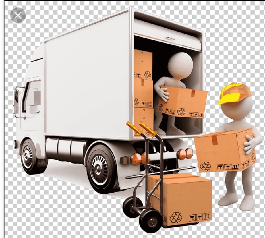 Transportes y mudanzas logística del caribe SA
